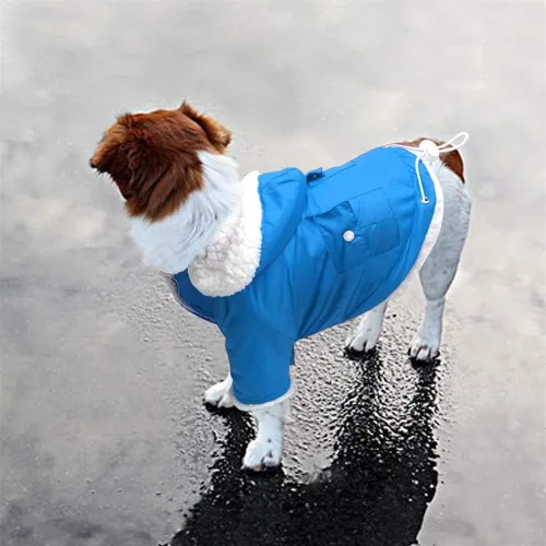 Vista 2 de SOCHII - Ropa para perro caliente para perros pequeños Chihuahua Pug Bulldog francés Roupa Cachorro, s, Azul