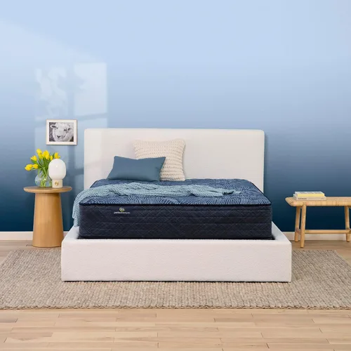 Vista 19 de Serta Perfect Sleeper - Colchón individual mejorado de 12 pulgadas, firme