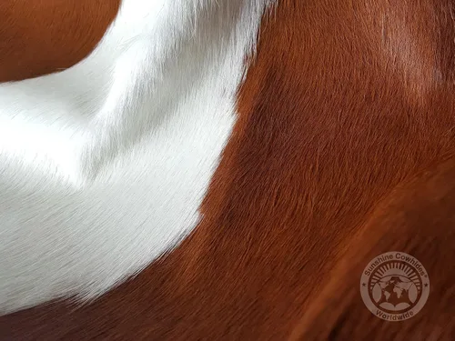 Vista 3 de Sunshine Cowhides Alfombra de piel de vaca 100% genuina, color marrón, alfombra de estilo moderno de piel de animal y alfombra para el suelo