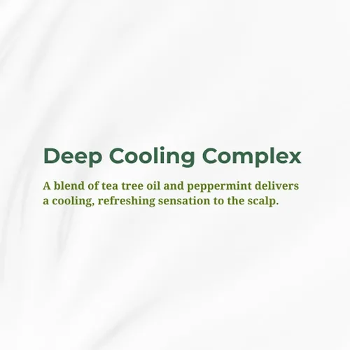 Vista 8 de Daeng Gi Meo Ri Tea Tree Cool Treatment Acondicionador refrescante para el cuero cabelludo con árbol de té y menta Hidratación profunda, suaviza