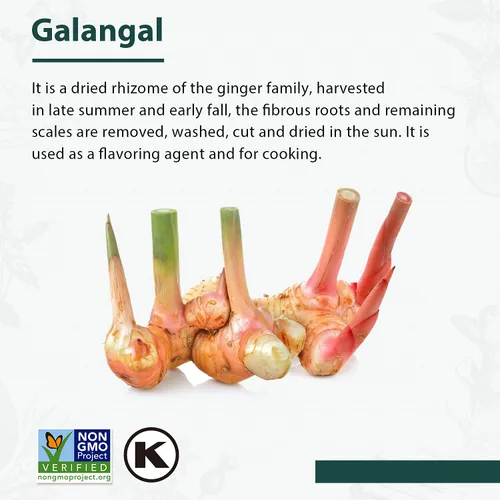 Vista 7 de Soeos Rodajas de Galangal 6 Onzas, Verificado Sin OMG, Kosher, Gran Galangal - Alpinia Galanga, Perfecto para Sopas Tom Yum y Tom Kha, Producto