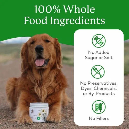 Vista 3 de Dr. Harvey's Suplemento multivitamínico y mineral a base de hierbas para perros (7 onzas)