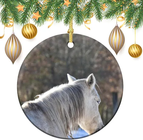 Vista 3 de Adornos para árbol de Navidad 2023, adorno de Navidad de caballo blanco, recuerdo festivo de porcelana, decoración de adornos de Navidad, ideas