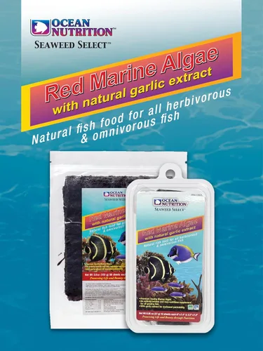 Vista 3 de Ocean Nutrition Hojas de algas marinas – Alimento nutritivo para peces de agua salada de algas rojas con extracto de ajo natural para peces
