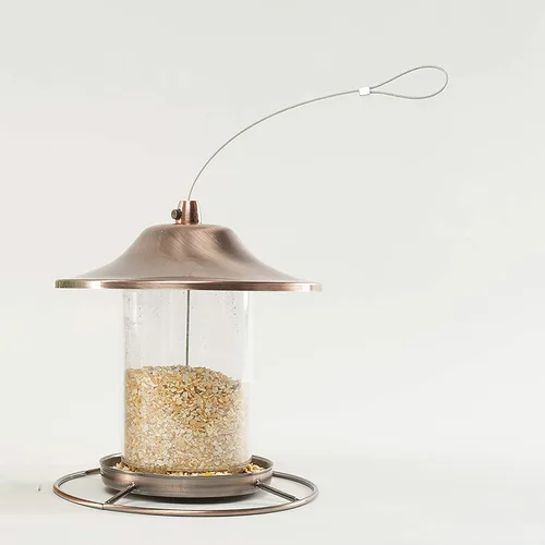 Vista 8 de Wagner's 18542 Cracked Corn - Alimento para aves silvestres, bolsa de 10 libras