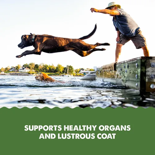 Vista 5 de Grizzly Pet Products Algal Plus Omega 3-6-9 Suplemento alimenticio para perros y gatos, botella de 8 onzas