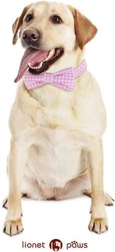 Vista 41 de Lionet Paws Collar de perro de Halloween con corbatín, bonito collar de algodón ajustable con hebilla de metal para perros pequeños, medianos y A