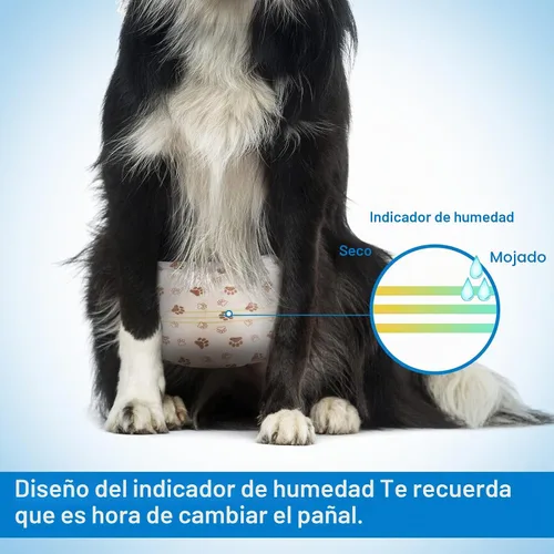 Vista 4 de Pet Soft Pañales desechables para perros machos, con indicador de humedad, ultra absorbentes, cómodos para incontinencia micción excitable, 50