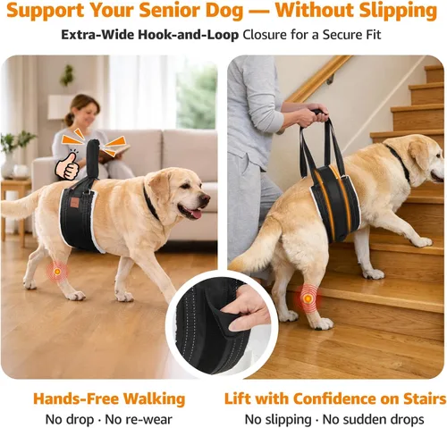 Vista 2 de LOOBANI Arnés de elevación para perros para patas traseras, arnés portátil para perros grandes, soporte para patas traseras, cómodo soporte