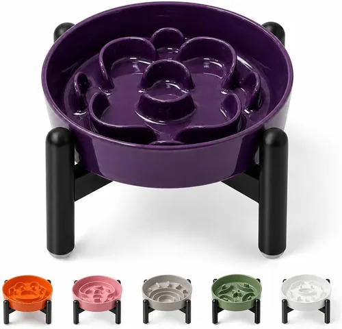 Vista 14 de Cuenco elevado para perros de alimentación lenta, 0.8 tazas de cerámica elevado con soporte inoxidable, cuenco elevado para perros de 6.3 pulgadas