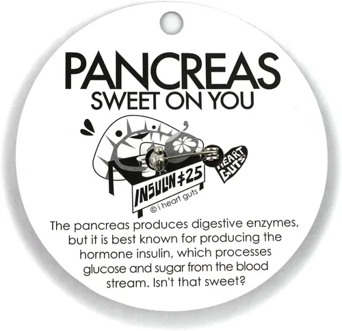 Vista 5 de Pin de solapa para páncreas, vierte un poco de azúcar en mí, por I Heart Guts