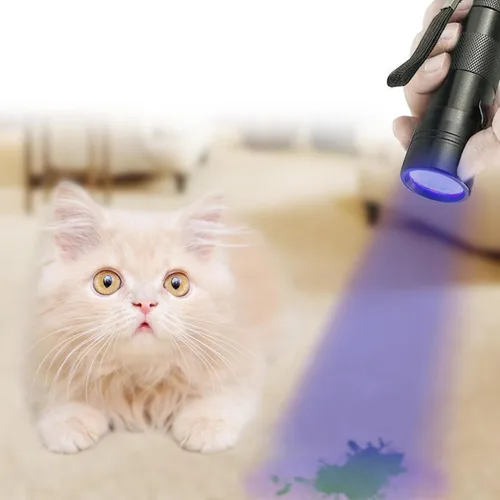 Vista 2 de JOR Mini linterna UV con pilas AAA, detector de manchas de mascotas