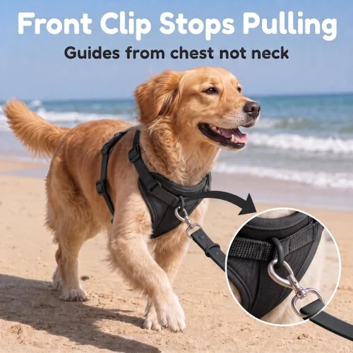 Vista 9 de Arnés para perro, chaleco de clip frontal ajustable sin tirones con acolchado suave, 3 clips para correa y diseño Oxford sin estrangulamiento Negro