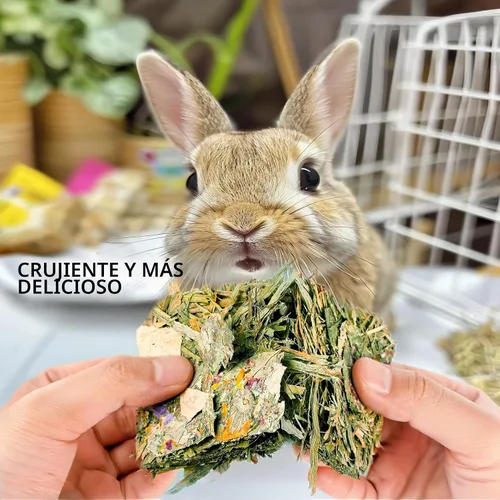 Vista 6 de Juguetes masticables de conejo, 12 unidades, Timothy Heno