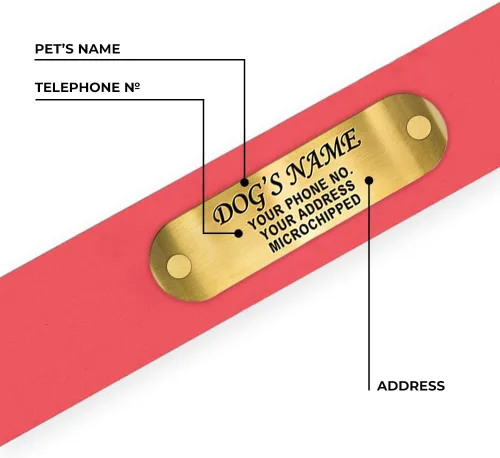 Vista 7 de Regal Dog Products Collar de Perro Rosa Mediano con Placa de Nombre Grabada Personalizada - Ajuste Personalizado, Resistente, Fácil de Limpiar