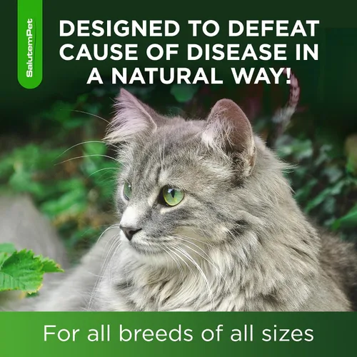 Vista 7 de Antibiótico para gatos para infecciones, ITUs, momentos respiratorios, resfriado y alergias Antibióticos para gatos de todas las edades y razas