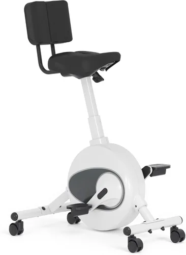 Vista 10 de FLEXISPOT Bicicleta de ejercicio con escritorio 2D, bicicleta bajo escritorio que ahorra espacio con escritorio removible, bicicletas estacionarias