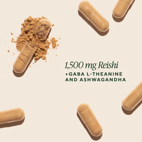 Vista 2 de OM MUSHROOM SUPERFOOD Relax - Cápsulas de hongos, 90 unidades, 30 días, hongos Reishi, Ashwagandha, GABA, L-teanina, magnesio, adaptógenos