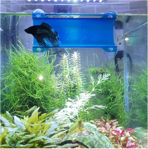 Vista 16 de Marca Betta Tunnel (negro opaco)