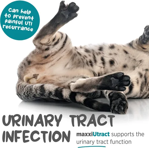 Vista 3 de maxxipaws maxxiUtract Polvo urinario y de vejiga para gatos, D-Manosa, 3.2 oz