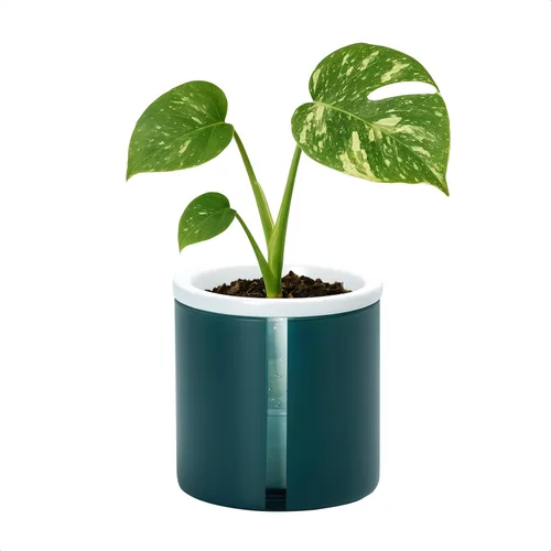 Vista 73 de D'vine Dev - Maceta de terracota negra con riego automático, 4 pulgadas, 37-X-A-3