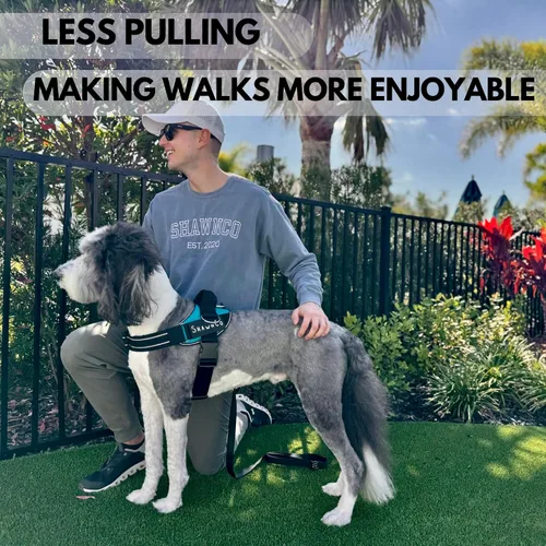 Vista 7 de ShawnCo Essential Pro - Arnés para perro, chaleco sin tirones para mascotas con 3 clips para correa y parches laterales removibles y reflectantes