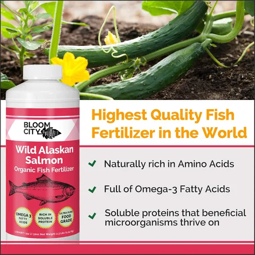 Vista 2 de Bloom City Fertilizante orgánico de pescado silvestre y suplemento vegetal, ideal para raíces y suelo, hecho de salmón sostenible, 1/2 pinta (8 oz)