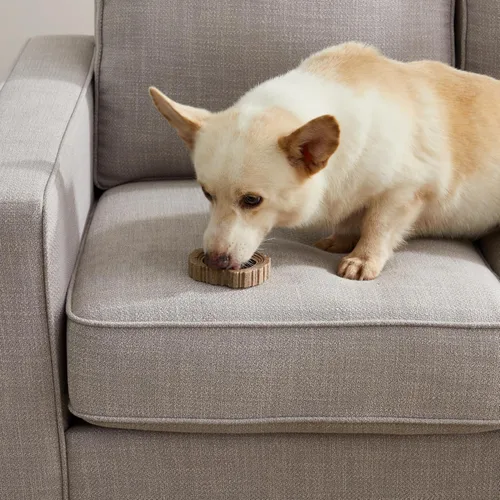 Vista 9 de Petstages Dogwood Ring - Juguete masticable para perros, pequeño (paquete de 2)