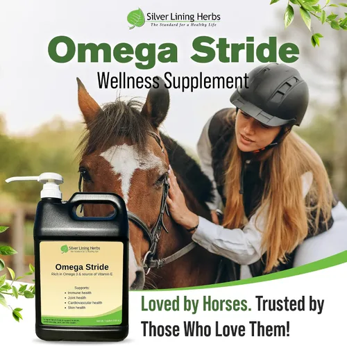 Vista 6 de Silver Lining Herbs Aceite de semilla de cáñamo Omega Stride para caballos