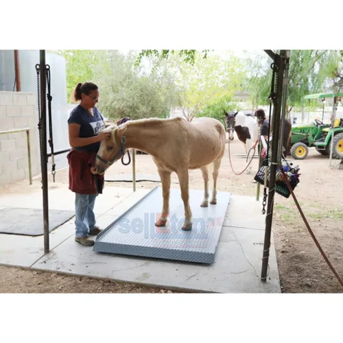 Vista 3 de SellEton SL-929 - Báscula de ganado y callejón para ganado, equipo de pesaje de animales con dos rampas con 5000 libras x 1 libra