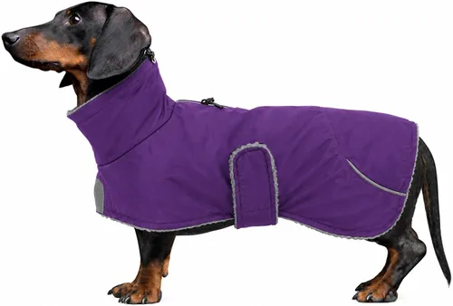 Vista 8 de Morezi Dachshund Coats Waterproof, Perfect for Dachshunds, Sausage, Weiner Dog Winter Coat with Padded Fleece, Puppy Snowsuit with Adjustable Bands