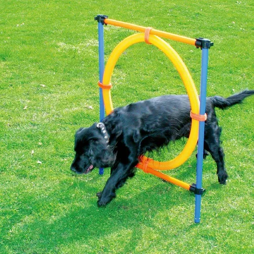 Vista 14 de PAWISE Equipo de entrenamiento de agilidad para perros, juego de obstáculos de entrenamiento de mascotas y bastones de tejido con barra de salto