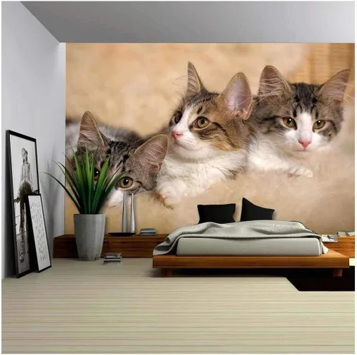 Vista 11 de wall26. Papel para empapelar autoadhesivo, grande, serie de mural., WMR-WP-X-C411-66x24x4