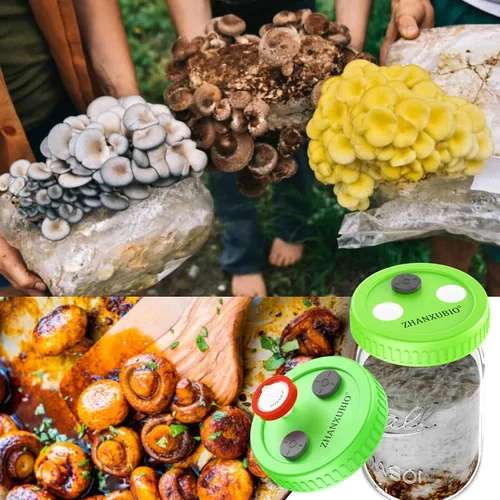 Vista 7 de Tarro de hongos, tapa de cultivo líquido, boca ancha, boca rejuvenecida, plástico de grado alimenticio, con membrana de PTFE y puertos de inyección