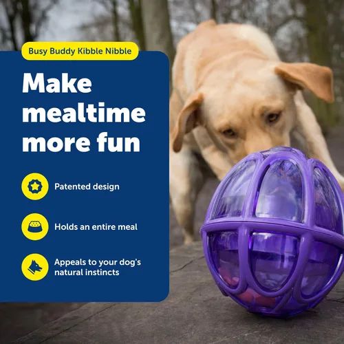 Vista 2 de PetSafe Busy Buddy Kibble Nibble juguete para perro dispensero de comida, S, Púrpura