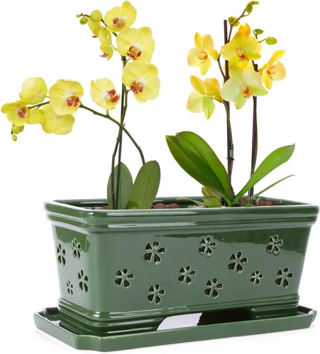 Vista 11 de Maceta rectangular de cerámica para orquídeas de 10 pulgadas con agujeros y platillo, color blanco, drenaje efectivo y ventilación para orquídeas