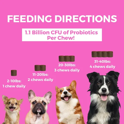 Vista 3 de Nootie Progility - Mini suplemento pre y probiótico, suplemento de ayuda digestiva para perros, 60 masticables suaves por envase