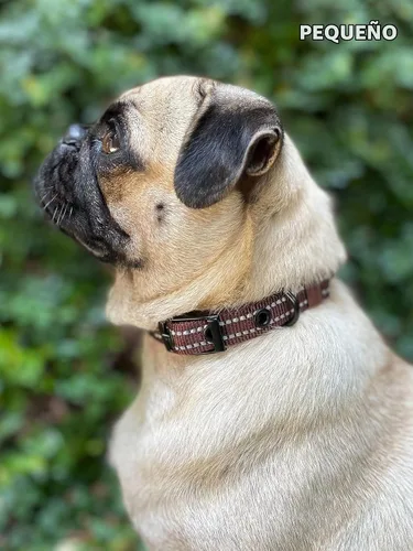 Vista 8 de Tuff Pupper Collar de perro resistente con asa Collar de nailon balístico resistente Collar de perro reflectante acolchado con hardware Marrón