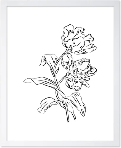 Vista 42 de Poster Master Póster Plumeria - Impresión de flores retro, arte floral, arte de flores tropicales, arte de línea - Arte de boceto - Arte abstracto