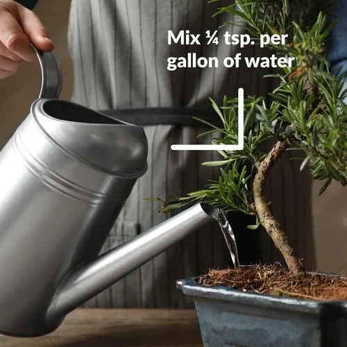 Vista 5 de Dyna-Gro BON-008 Bonsai-Pro Fertilizante líquido para plantas 7-9-5, 8 onzas.