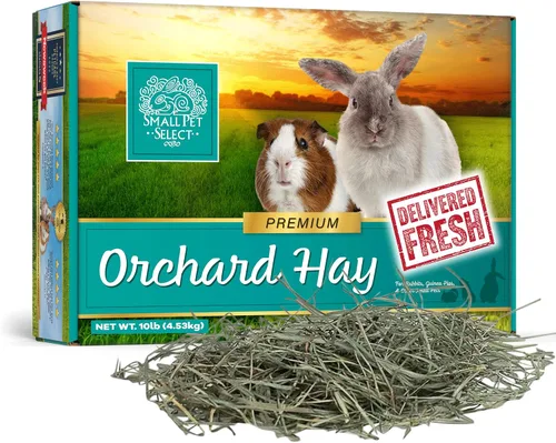 Vista 9 de Small Pet Select Orchard Grass - Alimento para mascotas con heno, 2 libras