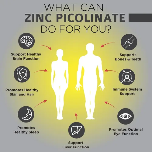 Vista 3 de OmniBiotics Suplemento de picolinato de zinc de 30 mg – Zinc de alta absorción para el sistema inmunológico, piel sana y apoyo energético – 180