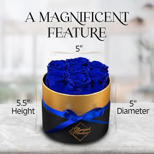 Vista 9 de GLAMOUR BOUTIQUE Rosas eternas preservadas en una caja, flores para siempre, rosa para siempre en una caja para esposa o ella, regalo de flores Azul