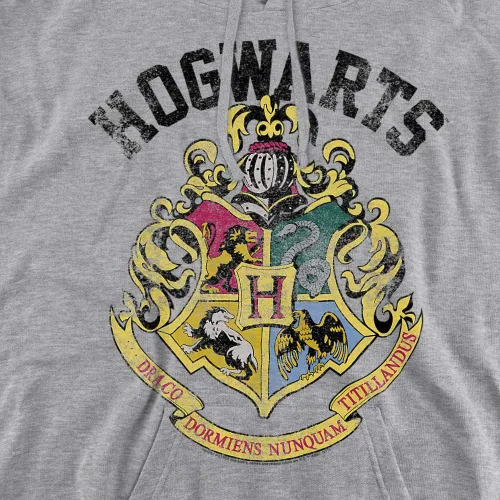 Vista 2 de Trevco Harry Potter Hogwarts Crest - Sudadera con capucha unisex para adultos