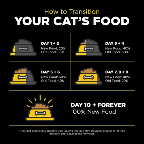 Vista 8 de Go! Solutions Sensitivities Limited Ingredient Duck Dry Cat Food, 3 lb