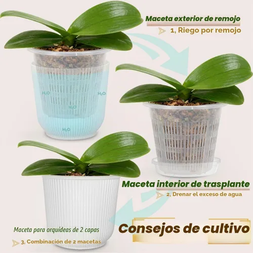 Vista 5 de MUZHI Juego de 4 macetas de orquídeas de doble capa para trasplantar 5.4 pulgadas, macetas de orquídeas ranuradas de malla transparente