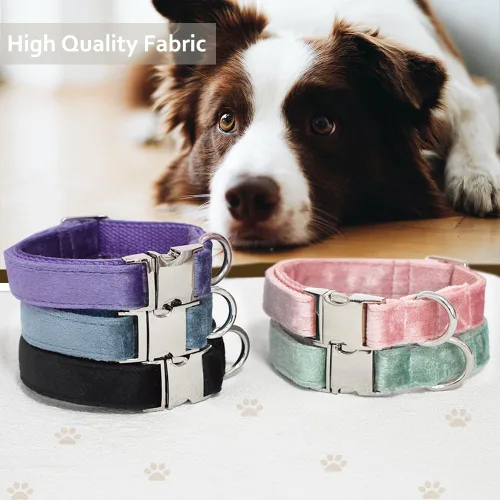 Vista 5 de Bubblepup Collar de terciopelo para perro, collar suave para perros pequeños, medianos y grandes