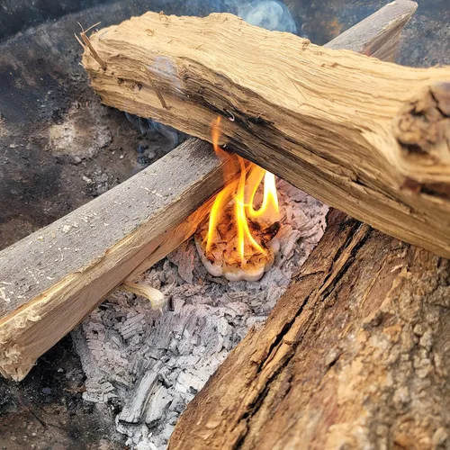 Vista 3 de Divertidos iniciadores de fuego para acampar - Formas temáticas de campamento, no tóxicas, veganas, sostenibles, tiempo de combustión de 15 minutos