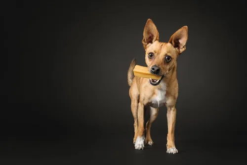 Vista 5 de peaksNpaws Yak Cheese - Masticables para perros del Himalaya, con alto contenido de proteínas, golosinas naturales para perros pequeños, sin