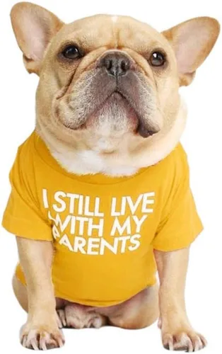 Vista 8 de Camisa para perro de bulldog francés para mascotas, camisetas para cachorros, camiseta de gato, transpirable, elástica, disfraces, talla M